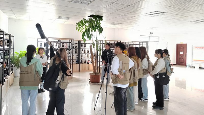 医疗三维动画报价方案：揭秘制作流程与影响因素