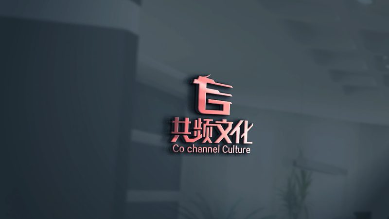 上海宣传片配音价格揭秘：影响因素与选择指南