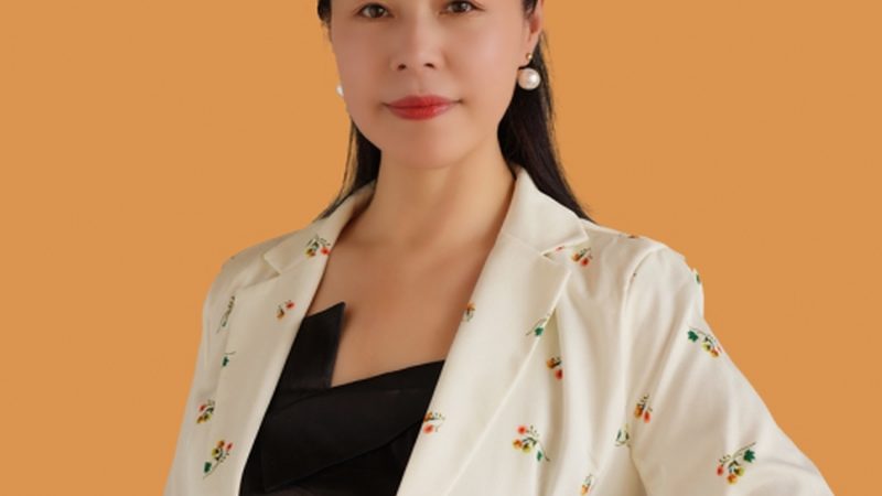 VI设计效果图：揭秘设计背后的逻辑与技巧