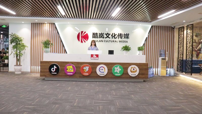 媒介投放执行标准要求：合规与效率的双重保障
